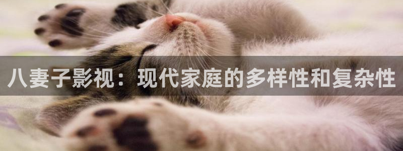 酷客影院手机在线观看最新：八妻子影视：现代家庭的多样性和复杂性