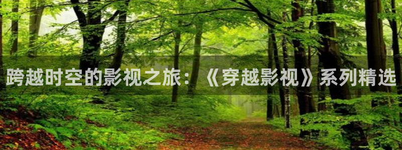酷客影院最新网址：跨越时空的影视之旅：《穿越影视》系列精选
