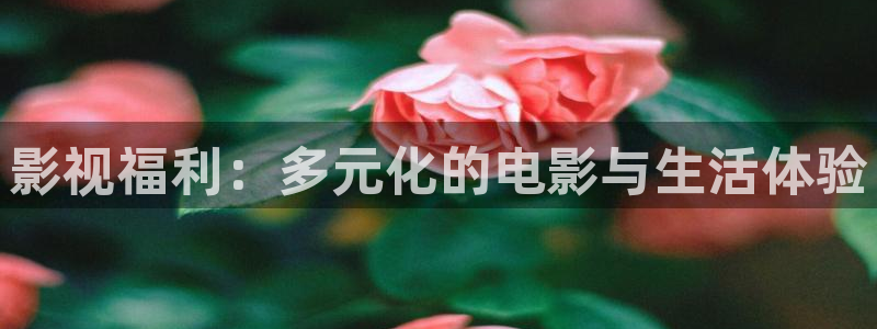 酷客影院 在线观看：影视福利：多元化的电影与生活体验