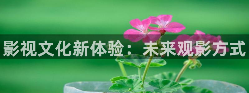 酷客影院免费观看完整版：影视文化新体验：未来观影方式