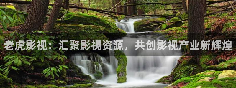 年轻的嫂子酷客影院：老虎影视：汇聚影视资源，共创影视产业新辉煌