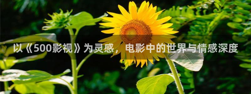 酷客影院免费网