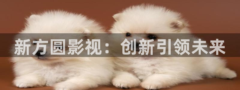 酷客影院在线观看